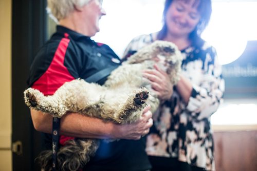 MIKAELA MACKENZIE / WINNIPEG FREE PRESS
Teresa Toutant, director of community services for St. John Ambulance, presents Donamae Hilton, and her dog, Mark-Cuss, with a bandana certifying Mark-cuss as a therapy dog for the organization in Winnipeg on Thursday, Aug. 2, 2018. 
Winnipeg Free Press 2018.