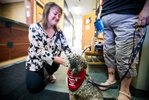 MIKAELA MACKENZIE / WINNIPEG FREE PRESS
Teresa Toutant, director of community services for St. John Ambulance, presents Donamae Hilton, and her dog, Mark-Cuss, with a bandana certifying Mark-cuss as a therapy dog for the organization in Winnipeg on Thursday, Aug. 2, 2018. 
Winnipeg Free Press 2018.