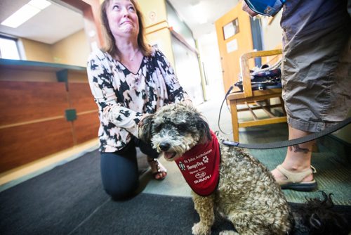 MIKAELA MACKENZIE / WINNIPEG FREE PRESS
Teresa Toutant, director of community services for St. John Ambulance, presents Donamae Hilton, and her dog, Mark-Cuss, with a bandana certifying Mark-cuss as a therapy dog for the organization in Winnipeg on Thursday, Aug. 2, 2018. 
Winnipeg Free Press 2018.