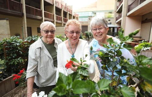 RUTH BONNEVILLE / WINNIPEG FREE PRESS


Group portrait of Irene Legg (left), Sheila Jonasson (centre)  and  Eileen Davidson (blue), residents of Kiwanis Chateau downtown, where they volunteer their time planting along with a larger group of volunteers,maintaining the apartment block's garden.


Aaron Epp
Volunteers columnist, Winnipeg Free Press

August 2nd, 2018
