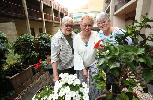 RUTH BONNEVILLE / WINNIPEG FREE PRESS


Group portrait of Irene Legg (left), Sheila Jonasson (centre)  and  Eileen Davidson (blue), residents of Kiwanis Chateau downtown, where they volunteer their time planting along with a larger group of volunteers,maintaining the apartment block's garden.


Aaron Epp
Volunteers columnist, Winnipeg Free Press

August 2nd, 2018
