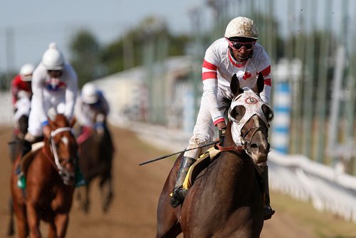 JOHN WOODS / WINNIPEG FREE PRESS
Rico Walcott riding Sky Promise wins the 70th running of the Manitoba Derby at Assiniboia Downs Monday, August 6, 2018.