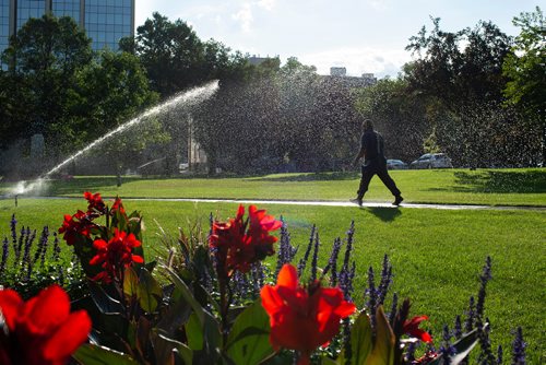 ANDREW RYAN / WINNIPEG FREE PRESS A man walks through the sprinklers on the Manitoba Legislative building lawn in early morning on August 7, 2018.