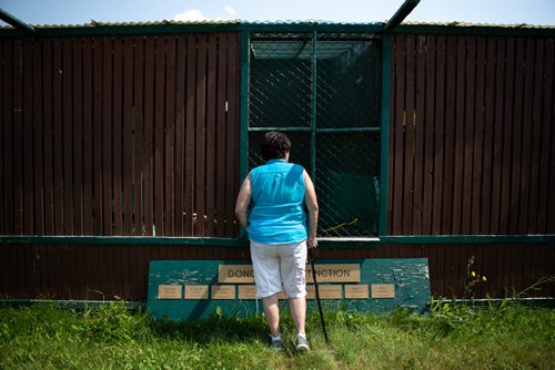 ANDREW RYAN / WINNIPEG FREE PRESS Judy Robertson, former president of the Wildlife Haven and Rehabilitation Centre, looks through an avian enclosure at the centre's current location. The Wildlife Haven and Rehabilitation Centre will soon be moving into a $3 million facility boasting an interactive visitor centre, animal viewing area, and many other improvements over their current location south of Winnipeg. Shot on August 8, 2018.