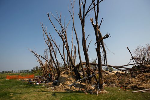 PHIL HOSSACK / WINNIPEG FREE PRESS -  Shredded trees line a former cottage site at Margaret Bruce Beach on Lake Manitoba Wednesday.  See story. - August 8, 2018
