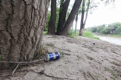 TREVOR HAGAN / WINNIPEG FREE PRESS
Beer cans in William Marshall Park, at the end of Dominion Street at the Assiniboine River, Monday, August 13, 2018.