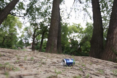 TREVOR HAGAN / WINNIPEG FREE PRESS
A beer can in William Marshall Park, at the end of Dominion Street at the Assiniboine River, Monday, August 13, 2018.