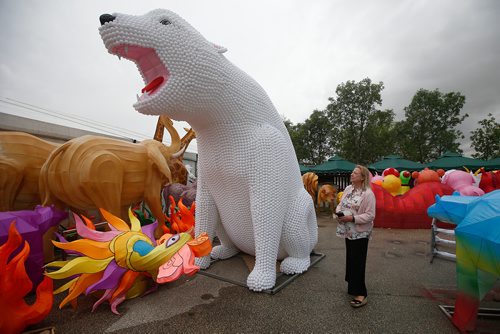 JOHN WOODS / WINNIPEG FREE PRESS
Dorothy Dobie, co-chair of The Lights Of The North - Chinese Lantern Festival is photographed beside a ping-pong ball polar bear in the exhibit at the Red River Ex grounds Monday, August 13, 2018. The festival, which opens at the end of August, is a celebration of the 30th anniversary of the twinning between Winnipeg and Chengdu, China.