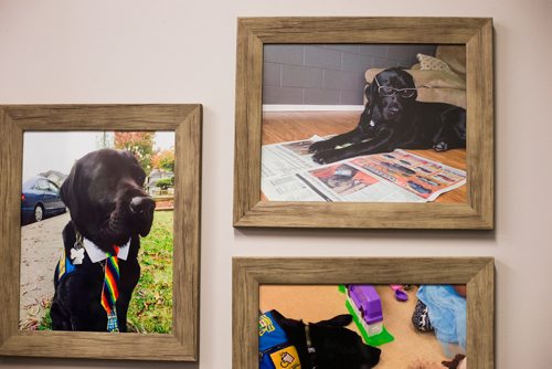 MIKAELA MACKENZIE / WINNIPEG FREE PRESS
The support dog's room at Snowflake Place for Children and Youth, which specializes in doing investigative interviews with child victims of abuse in Winnipeg on Wednesday, Aug. 15, 2018. 
Winnipeg Free Press 2018.