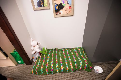 MIKAELA MACKENZIE / WINNIPEG FREE PRESS
The support dog's bed at Snowflake Place for Children and Youth, which specializes in doing investigative interviews with child victims of abuse in Winnipeg on Wednesday, Aug. 15, 2018. 
Winnipeg Free Press 2018.