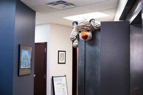 MIKAELA MACKENZIE / WINNIPEG FREE PRESS
Stuffed animals hang out in all sorts of places at Snowflake Place for Children and Youth, which specializes in doing investigative interviews with child victims of abuse in Winnipeg on Wednesday, Aug. 15, 2018. 
Winnipeg Free Press 2018.