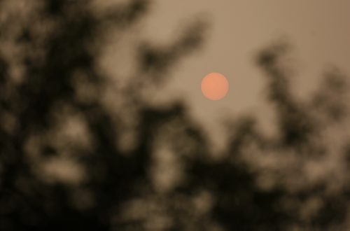 TREVOR HAGAN / WINNIPEG FREE PRESS
The morning sun, obstructed by smoke from forest fires in Western Canada, Thursday, August 16, 2018.