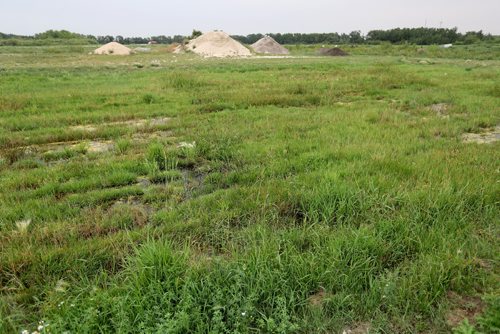 TREVOR HAGAN / WINNIPEG FREE PRESS
Part of the wastewater system near Dunnottar, Thursday, August 16, 2018.