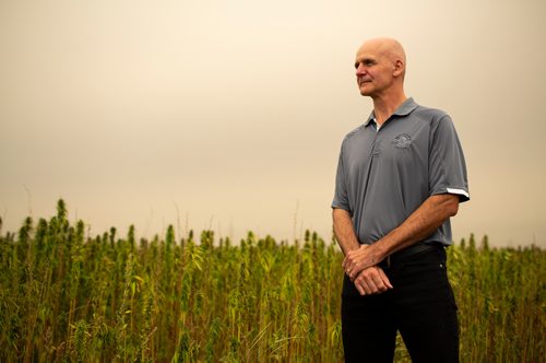 ANDREW RYAN / WINNIPEG FREE PRESS Clarence Shwaluk, director of Farm Operations, poses for a portrait in one of the many farmers' fields of cannabis at Hemp Oil Canada on August 16, 2018.