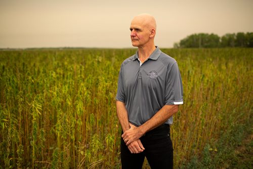 ANDREW RYAN / WINNIPEG FREE PRESS Clarence Shwaluk, director of Farm Operations, poses for a portrait in one of the many farmers' fields of cannabis at Hemp Oil Canada on August 16, 2018.