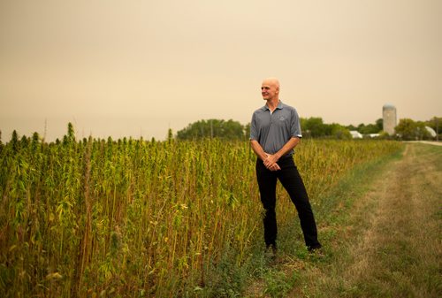 ANDREW RYAN / WINNIPEG FREE PRESS Clarence Shwaluk, director of Farm Operations, poses for a portrait in one of the many farmers' fields of cannabis at Hemp Oil Canada on August 16, 2018.