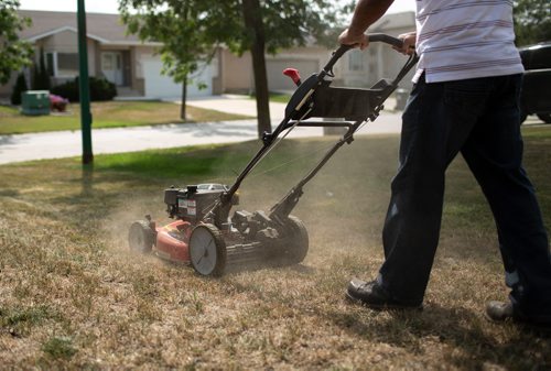 ANDREW RYAN / WINNIPEG FREE PRESS Jacky Maan, owner of Regal Grass, mows one of his customer's overly dried out lawns in Lindenwood on August 20, 2018. The dry summer weather has taken a toll on landscaping and gardening businesses.