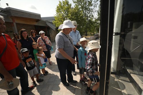 RUTH BONNEVILLE / WINNIPEG FREE PRESS

49.8 Borders Page
Bison Safari at Fort Whyte.
Families enjoy an afternoon discovering how bison have shaped Canadas history as they get up close in the safety of Fort Whytes tour bus.  

Leo (plaid) and Sammy Marcus (7yrs), are at the front of the line to get onto the tour bus for their bison safari at Fort Whyte recently.  Their grandparents, Hank and Judy Seiff from Washington DC are behind them.

More Info:
See North Americas largest land mammal from just meters away interacting in their natural habitat in the safety of our comfortable, air-conditioned vehicles. These striking prairie beasts are stoic, hairy, and huge!  A great family adventure getting up close into our prairie past and leaving knowing more about how bison have shaped Canadas history.

The bison at Fort Whyte are thought to be some of the most genetically pure lines of bison left in existence in the world.  Once numbering 30-60 million in North America, their numbers were decimated in just a few decades as expansion pressed westward. 

Safari info:
Bison Safaris run four times weekly until the end of August, then once weekly during the month of September. 
More info at link
 www.fortwhyte.org/bisonsafaris


August 20/18
