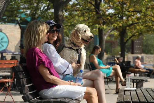 RUTH BONNEVILLE / WINNIPEG FREE PRESS

Standup photo 

Five-year-old golden doodle, Frankie, enjoys hanging out with his owner's, Maureen Pollock and her friend, Jam Allen, at the Forks Wednesday afternoon.

Maureen Pollock and her friend Jan Allen are both grade 6 teachers enjoying the last few days off before heading back to class to prep for students next week.

Standup photo 




August 20/18
