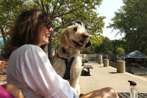 RUTH BONNEVILLE / WINNIPEG FREE PRESS

Standup photo 

Five-year-old golden doodle, Frankie, enjoys hanging out with his owner's, Maureen Pollock, at the Forks Wednesday afternoon.

Maureen Pollock and her friend Jan Allen (not in this picture),  are both grade 6 teachers enjoying the last few days off before heading back to class to prep for students next week.

Standup photo 




August 20/18
