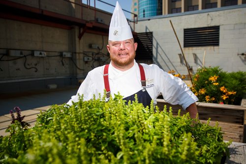 MIKE DEAL / WINNIPEG FREE PRESS
Tim Palmer, Executive Chef at the Fairmont Winnipeg at the rooftop herb garden.
180823 - Thursday, August 23, 2018.