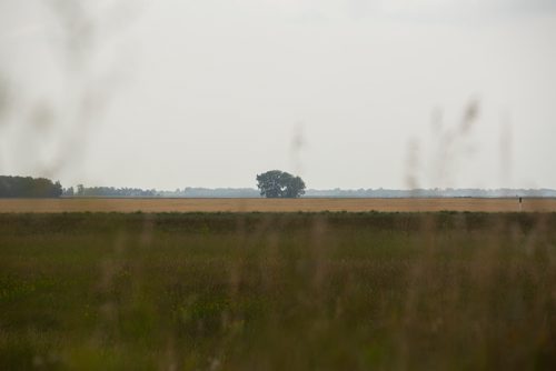 ANDREW RYAN / WINNIPEG FREE PRESS Smoke from wildfires in the eastern portion of the province is seen lingering along the Red River near the perimeter highway on August 23, 2018.