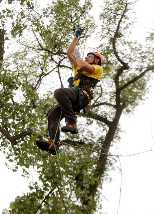 PHIL HOSSACK / WINNIPEG FREE PRESS -  Jesse Antonation scrambles up a rope ascending to ring a bell in a timed event Saturday Morning at the International Society of Aboriculture Prairie Chapter's 25th annual Tree Climbing Championship. See Eric Pindera's story. - August 25, 2018