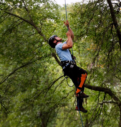 PHIL HOSSACK / WINNIPEG FREE PRESS -   DJ Neustaeder begins his ascent into the canopy in Kildonan Park Saturday Morning at the International Society of Aboriculture Prairie Chapter's 25th annual Tree Climbing   Championship. See Eric Pindera's story. - August 25, 2018