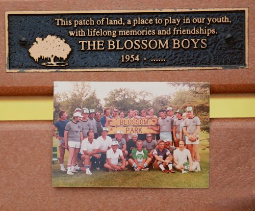 RUTH BONNEVILLE / WINNIPEG FREE PRESS


49.8 column feature

 "The Blossom Boys" 

In 1953, a group of River Heights kids started playing football in what was then known as Blossom Park. The bonds they forged there have lasted a lifetime: this year, with all the surviving Blossom Boys nearly 80 years old, they're holding their 65th anniversary and what could be their final reunion.

Some of the Blossom Boys gather together under the tree that the group planted in the park at Andrew Currie Park on Wellington Crescent (was Blossom Park), for some fun and games and a group photo Monday.  The group used to lie under the trees after playing sports and tell stories.  

Vintage photo of the group in earlier years (1990's), taken on the bench that the members purchased for the park.  

See Melissa Martin's column.


August 27/18
