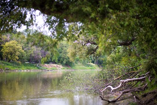 MIKAELA MACKENZIE / WINNIPEG FREE PRESS
The river at Palmerston and Aubrey in Wolseley in Winnipeg on Tuesday, Aug. 28, 2018. A report on the city's website says that 3.3 million litres of raw sewage was spilled into the Assiniboine River on Sunday night.
Winnipeg Free Press 2018.