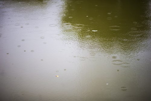 MIKAELA MACKENZIE / WINNIPEG FREE PRESS
The river at Palmerston and Aubrey in Wolseley in Winnipeg on Tuesday, Aug. 28, 2018. A report on the city's website says that 3.3 million litres of raw sewage was spilled into the Assiniboine River on Sunday night.
Winnipeg Free Press 2018.