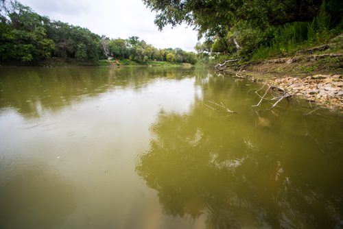 MIKAELA MACKENZIE / WINNIPEG FREE PRESS
The river at Palmerston and Aubrey in Wolseley in Winnipeg on Tuesday, Aug. 28, 2018. A report on the city's website says that 3.3 million litres of raw sewage was spilled into the Assiniboine River on Sunday night.
Winnipeg Free Press 2018.