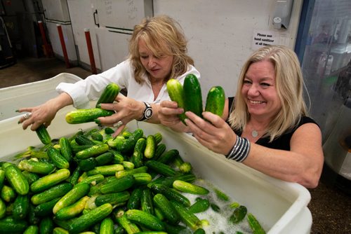 ANDREW RYAN / WINNIPEG FREE PRESS Millie, right, and Payton Krause sort through clean pickles at Elman's Food Products on August 30, 2018.