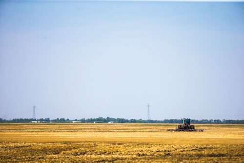 MIKAELA MACKENZIE / WINNIPEG FREE PRESS
A tractor drives through a field near Kleefeld, Manitoba on Thursday, Aug. 30, 2018. 
Winnipeg Free Press 2018.