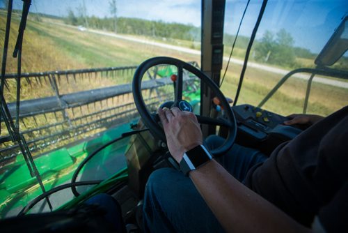 MIKAELA MACKENZIE / WINNIPEG FREE PRESS
Farmer Markus Isaac combines his hemp seed crop near Kleefeld, Manitoba on Thursday, Aug. 30, 2018. 
Winnipeg Free Press 2018.