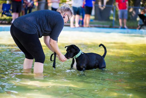 MIKAELA MACKENZIE / WINNIPEG FREE PRESS
 Jill Bruneau plays with her dog, Trudy, at the Norwood Wading Pool in Winnipeg on Saturday, Sept. 1, 2018. 
Winnipeg Free Press 2018.