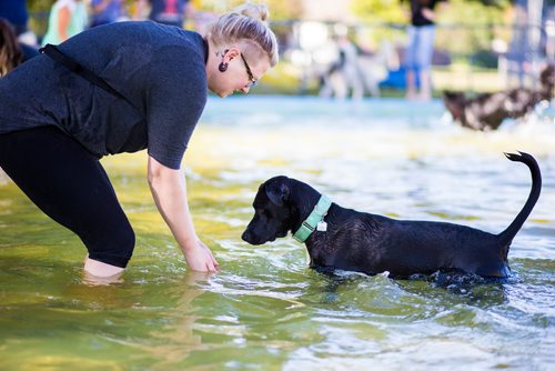 MIKAELA MACKENZIE / WINNIPEG FREE PRESS
 Jill Bruneau plays with her dog, Trudy, at the Norwood Wading Pool in Winnipeg on Saturday, Sept. 1, 2018. 
Winnipeg Free Press 2018.