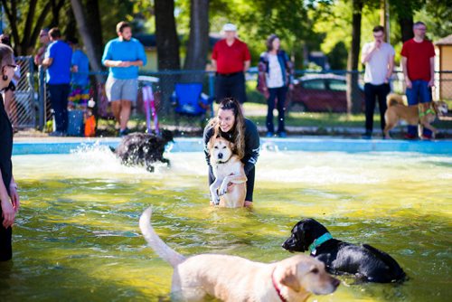 MIKAELA MACKENZIE / WINNIPEG FREE PRESS
Marissa Nazeravich plays with her dog, Copper, at the Norwood Wading Pool in Winnipeg on Saturday, Sept. 1, 2018. 
Winnipeg Free Press 2018.