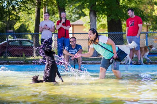 MIKAELA MACKENZIE / WINNIPEG FREE PRESS
Cristine Gasenzer plays with her dog, Zelda, at the Norwood Wading Pool in Winnipeg on Saturday, Sept. 1, 2018. 
Winnipeg Free Press 2018.