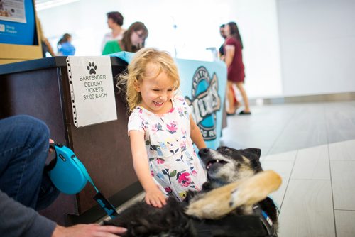 MIKAELA MACKENZIE / WINNIPEG FREE PRESS
Clara Loney, four, pets Manitoba Mutts rescue dog Barbie at Kildonan Place in Winnipeg on Saturday, Sept. 1, 2018. 
Winnipeg Free Press 2018.