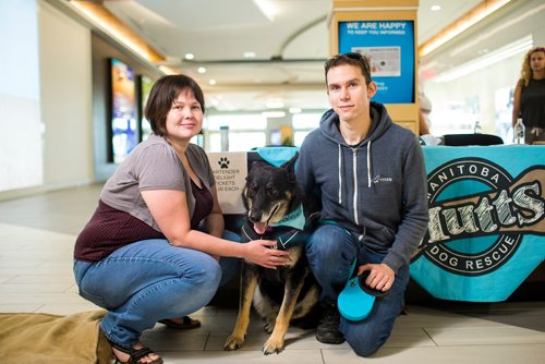 MIKAELA MACKENZIE / WINNIPEG FREE PRESS
Mindy Brown and Wes Hanney pose with Manitoba Mutts rescue dog Barbie at Kildonan Place in Winnipeg on Saturday, Sept. 1, 2018. 
Winnipeg Free Press 2018.