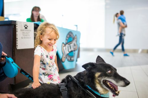 MIKAELA MACKENZIE / WINNIPEG FREE PRESS
Clara Loney, four, pets Manitoba Mutts rescue dog Barbie at Kildonan Place in Winnipeg on Saturday, Sept. 1, 2018. 
Winnipeg Free Press 2018.