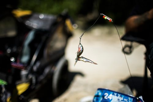 MIKAELA MACKENZIE / WINNIPEG FREE PRESS
Kelly Temchuk baits his line at the annual Fall Fishing Derby at The Forks in Winnipeg on Saturday, Sept. 1, 2018.
Winnipeg Free Press 2018.