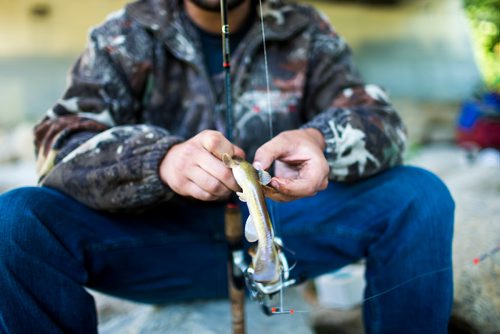 MIKAELA MACKENZIE / WINNIPEG FREE PRESS
Andrew Sullivan takes a small fish off the line at the annual Fall Fishing Derby at The Forks in Winnipeg on Saturday, Sept. 1, 2018.
Winnipeg Free Press 2018.