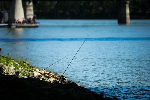 MIKAELA MACKENZIE / WINNIPEG FREE PRESS
The annual Fall Fishing Derby, in support of Marymound School and the Never Alone Foundation, takes place at The Forks in Winnipeg on Saturday, Sept. 1, 2018.
Winnipeg Free Press 2018.