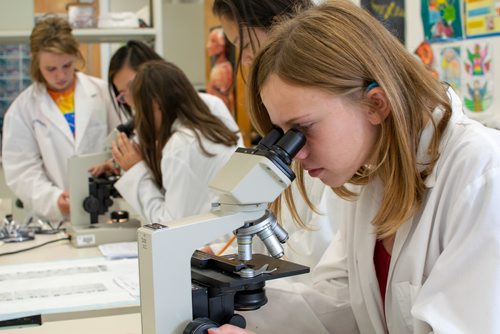 Canstar Community News Aug. 28, 2018 - Wolseley School student Emelia Stephenson examines yarrow seeds that were sent into space. (EVA WASNEY/CANSTAR COMMUNITY NEWS/METRO)