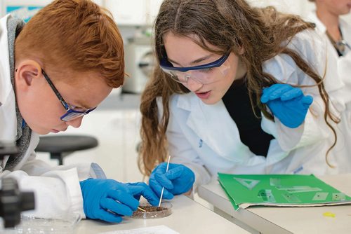 Canstar Community News Aug. 28, 2018 - Grosvenor School students Charlie Buehler and Quinn McMullan look for kale seeds in the experiment that was sent into space earlier this summer. (EVA WASNEY/CANSTAR COMMUNITY NEWS/METRO)