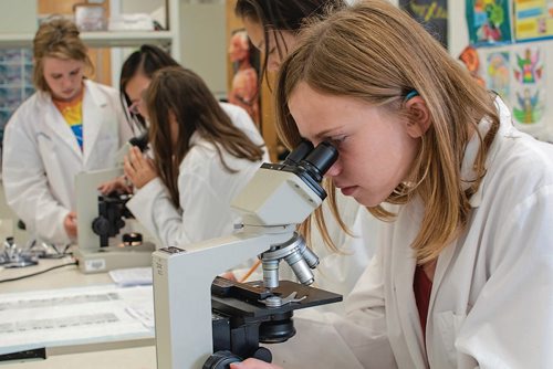 Canstar Community News Aug. 28, 2018 - Wolseley School student Emelia Stephenson examines yarrow seeds that were sent into space. (EVA WASNEY/CANSTAR COMMUNITY NEWS/METRO)