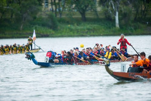 MIKAELA MACKENZIE / WINNIPEG FREE PRESS
The No See-Ums race in the seventh annual Manitoba Dragon Boat Festival in support of the CancerCare Manitoba Foundation and the Childrens Hospital Foundation of Manitoba takes place at the Forks in Winnipeg on Saturday, Sept. 8, 2018. 
Winnipeg Free Press 2018.