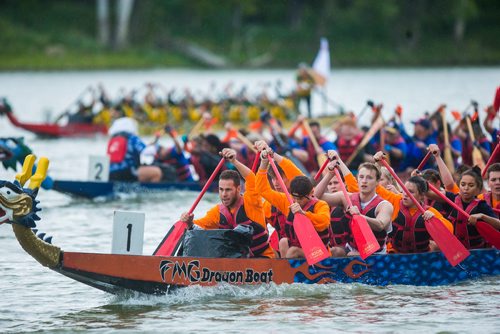 MIKAELA MACKENZIE / WINNIPEG FREE PRESS
Katie's Krew races in the seventh annual Manitoba Dragon Boat Festival in support of the CancerCare Manitoba Foundation and the Childrens Hospital Foundation of Manitoba takes place at the Forks in Winnipeg on Saturday, Sept. 8, 2018. 
Winnipeg Free Press 2018.